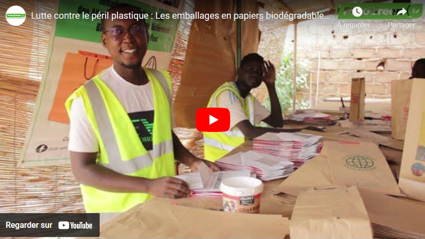 Lutte contre le péril plastique : Les emballages en papiers biodégradables comme alternatifs 1 ECO BF Lutte contre le péril plastique : Les emballages en papiers biodégradables comme alternatifs