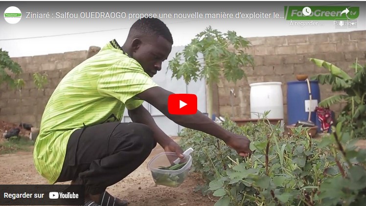 ZALIFOU Ziniaré : Salfou OUEDRAOGO propose une nouvelle manière d’exploiter les parcelles
