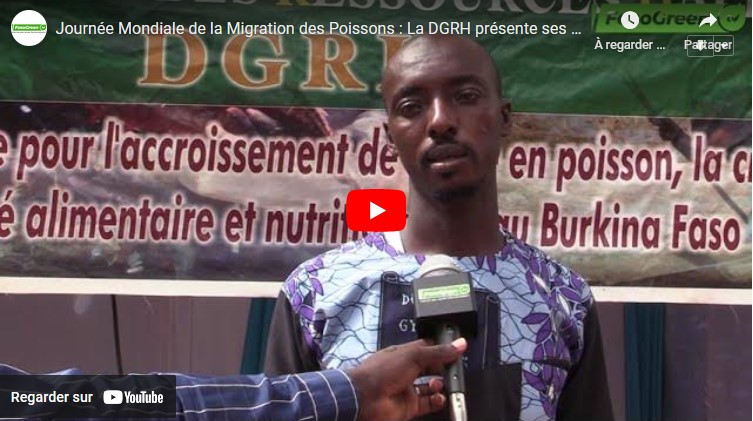 Journée Mondiale de la Migration des Poissons : La DGRH présente ses missions 1 DGRH Journée Mondiale de la Migration des Poissons : La DGRH présente ses missions