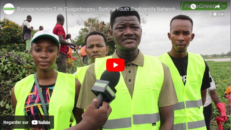 NOUHOU Barrage numéro 2 de Ouagadougou : Burkina Youth Biodiversity Network arrache les plantes aquatique