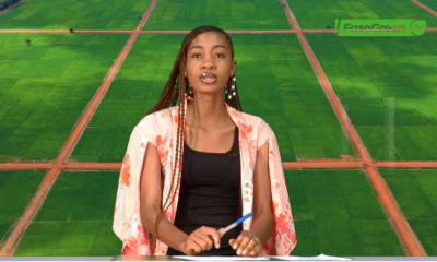Capture decran 2025 05 20 204820 JT DU 20 MAI 2025 : Retrouvez le journal de 18h45 avec Sara BOUGOUMA