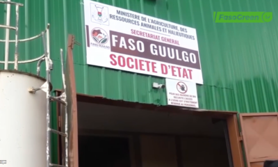 FASO GUULGO