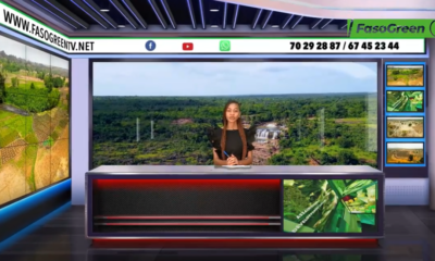 JT DU 12 MAI 2025