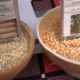 Foire aux semences améliorées : Zoom sur INERA Sahel