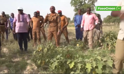 Capture decran 2025 06 11 140420 Campagne agro-pastorale et halieutique 2025-2026 : Le ministre SOMBIE en visite d'inspection
