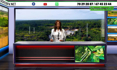 JT JT DU 23 JUIN 2025