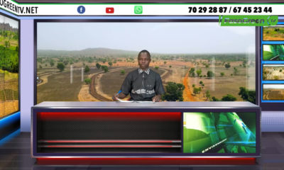 jt JT DU 04 JUIN 2025 : Retrouvez le journal de 18h45 avec Mamadou SOARE