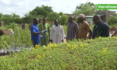 CAP 2 Campagne Nationale de Reforestation 2025 : Salif NIKIEMA offre 7000 plants au Chef de l'Etat
