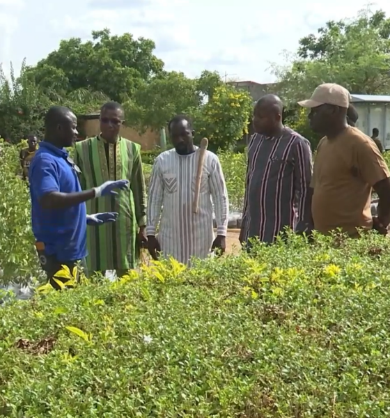 CAP 2 Campagne Nationale de Reforestation 2025 : Salif NIKIEMA offre 7000 plants au Chef de l'Etat