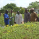 CAP 2 Campagne Nationale de Reforestation 2025 : Salif NIKIEMA offre 7000 plants au Chef de l'Etat
