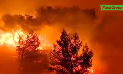 Cap 4 Tour d'horizon international: séisme en Russie, inondation en Chine, incendies au Portugal