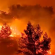 Cap 4 Tour d'horizon international: séisme en Russie, inondation en Chine, incendies au Portugal