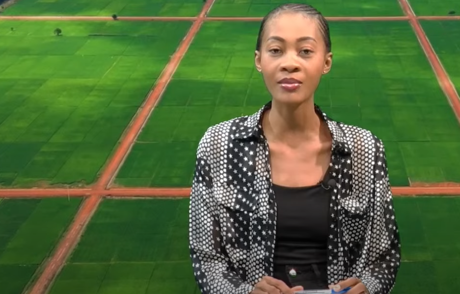 Retrouvez le journal de 18h45 avec Sara BOUGOUMA
