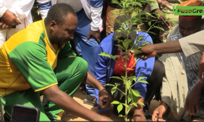 grand mu Célébration de la JNA en différé: 700 plants mis en terre à Tangsèghin