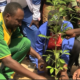 grand mu Célébration de la JNA en différé: 700 plants mis en terre à Tangsèghin