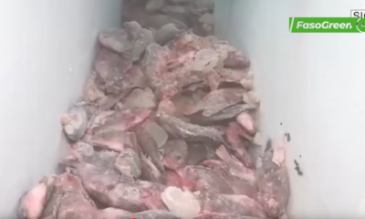 poisson Filière halieutique : La DGPER visite des vendeurs de poissons locaux