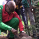 1 2 Campagne de reforestation 2025: le ministère de la santé lance son bosquet à plantes médicinales