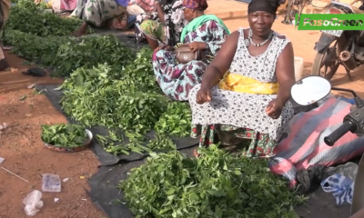 2 Marché de dassasogho: la vente de feuilles d'amarantes source de revenue pour plusieurs femmes