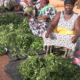 2 Marché de dassasogho: la vente de feuilles d'amarantes source de revenue pour plusieurs femmes