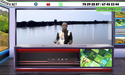 JT DU 21 AOUT