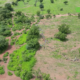 CONSERVATION DE LA NATURE