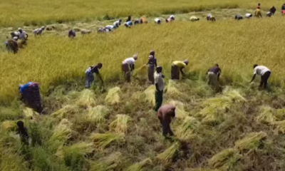 Fond Dumu Ka Fa : Une révolution agricole durable du Burkina Faso