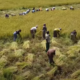 Fond Dumu Ka Fa : Une révolution agricole durable du Burkina Faso