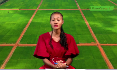 vlcsnap 2025 08 12 20h04m22s956 JT DU 12 AOUT 2025 : Retrouvez le journal de 18h45 avec Sara BOUGOUMA