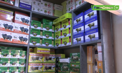 CAP1 3 Ouagadougou : Des aliments pour animaux et produits laitiers saisis par la DGSV