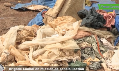 Cap2 3 Insalubrité urbaine : Une double sortie de la Brigade Laabal qui change le visage du marché de Nagrin