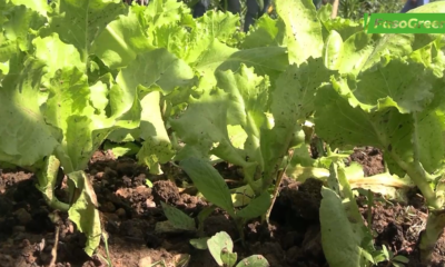 Cap3 3 Agroécologie: Des journalistes outillés sur la pratique