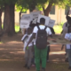 Camp écologique des jeunes du sahel : Tenkodogo accueille l'édition 2025