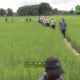 CAMPAGNE AGROPASTORALE