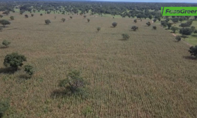 Capture decran 2025 09 16 083956 Campagne agropastorale 2025 : Le Ministre SOMBIE poursuit sa tournée d'inspection