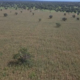 Capture decran 2025 09 16 083956 Campagne agropastorale 2025 : Le Ministre SOMBIE poursuit sa tournée d'inspection