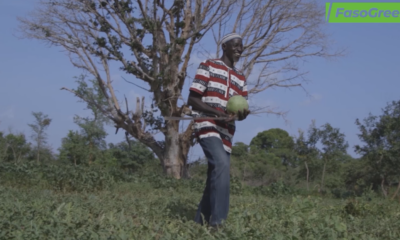 Projet FaNeRe III : l'équipe de coordination constate les résultats sur le terrain 36 CAPTURE ELEMENT 1 Projet FaNeRe III : l'équipe de coordination constate les résultats sur le terrain