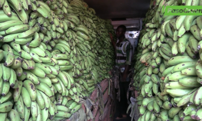 CAPTURE ELEMENT 2 1 Vente de bananes à Ouagadougou : Pierre OUEDRAOGO tire son épingle du jeu