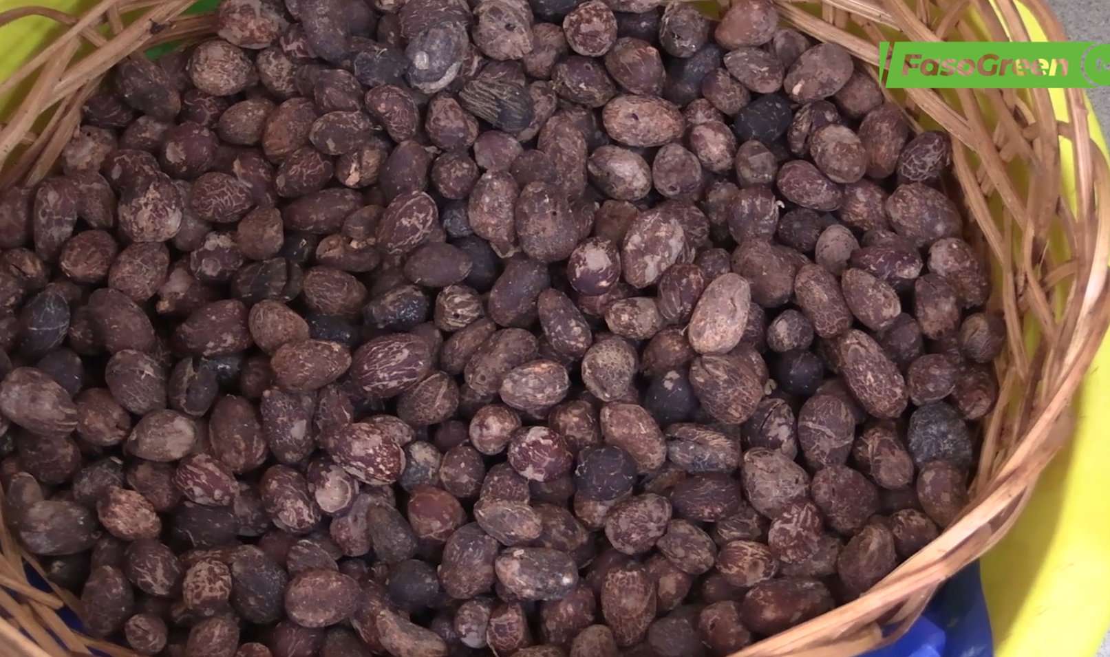 Respect de l'interdiction d'importation des amendes de karité : La BMCRF fait des saisies