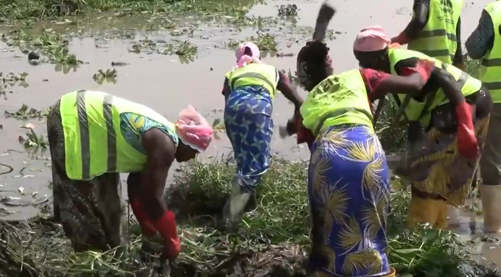 Barrage de Ouagadougou : L'AEN fait la guerre à la jacinthe d'eau