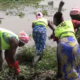 Barrage de Ouagadougou : L'AEN fait la guerre à la jacinthe d'eau