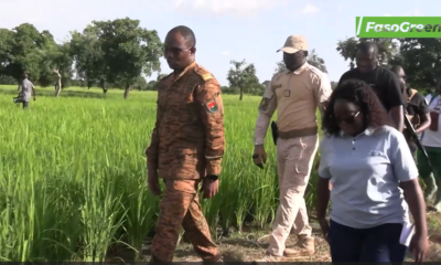 cap 1 Suivi de la campagne agricole: Ismaël SOMBIE dans les régions du Yaadga et Oubri