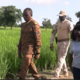 cap 1 Suivi de la campagne agricole: Ismaël SOMBIE dans les régions du Yaadga et Oubri
