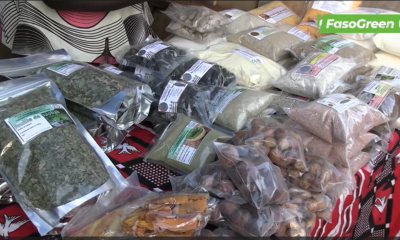 Foires régionales des PFLN: Le top départ donné à Bobo-Dioulasso 42 soare 1 Foires régionales des PFLN: Le top départ donné à Bobo-Dioulasso