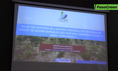 Mise en œuvre du PGPC/REDD+: Le ministre Roger BARO fait le point avec les communes bénéficiaires 40 soare 2 Mise en œuvre du PGPC/REDD+: Le ministre Roger BARO fait le point avec les communes bénéficiaires