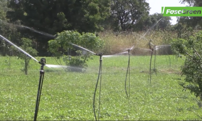Gestion intégrée de l'eau: la CONAJEC outille des jeunes producteurs 38 soare 3 Gestion intégrée de l'eau: la CONAJEC outille des jeunes producteurs