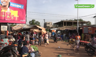 CAP 2 3 Loi sur les emballages et sachets plastiques : Une aubaine pour les producteurs d’alternatives