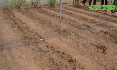 CAP2 2 Agriculture durable au Burkina : La JICAD renforce les capacités de 25 journalistes et communicateurs