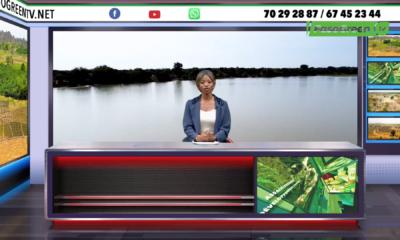 Capture decran 2025 11 06 a 18.21.08 JT DU 06 NOVEMBRE 2025 : Retrouvez le journal de 18h45 avec Bernadine OUEDRAOGO