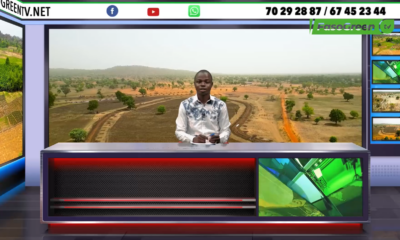 Capture decran 2025 11 12 183357 JT DU 12 NOVEMBRE 2025: Retrouvez le journal de 18h 45 avec Mamadou SOARE