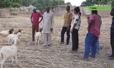 Capture decran 2025 11 12 a 10.00.41 Tour d'horizon